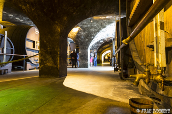 photos de Juan Robert reportage à Voiron dans les cave Chartreuse pour la région Auvergne-Rhône-Alpes 